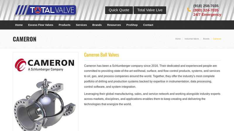 Brands > Cameron” style=”width: 100%; height: auto; border: 1px solid #ddd; border-radius: 4px;”></a>
                </div>
<div style=