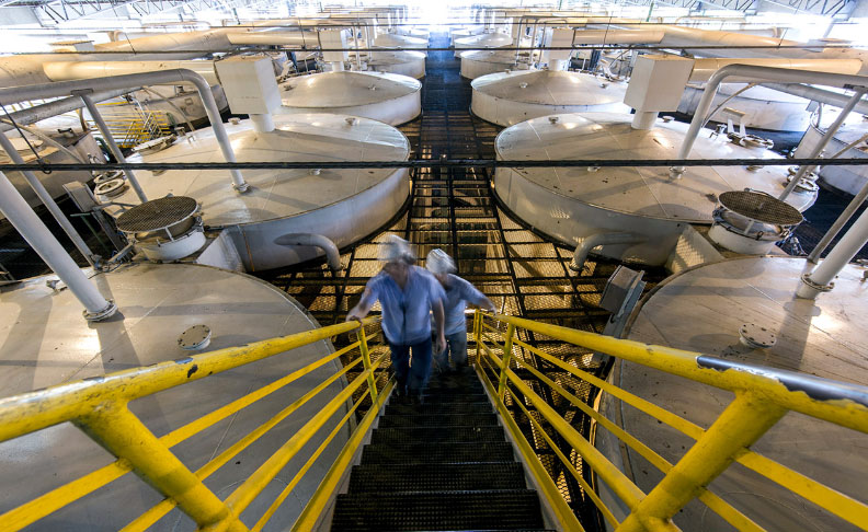 Brazillian Sugar industry insight