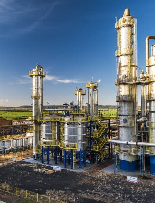 Brazillian Sugar industry insight