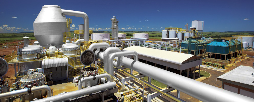 Brazillian Sugar industry insight