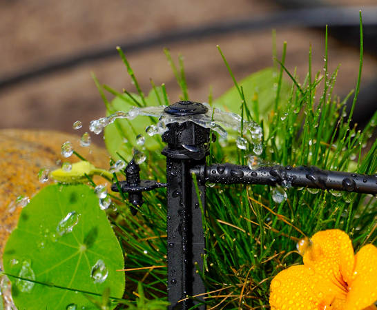Bubblers Irrigation industry insight