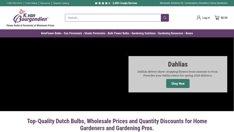 Bulk and Wholesale Flower Bulbs