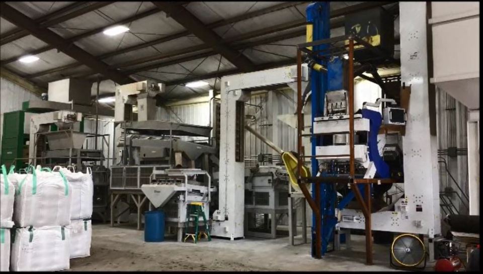 Bulk Beans Dry industry insight