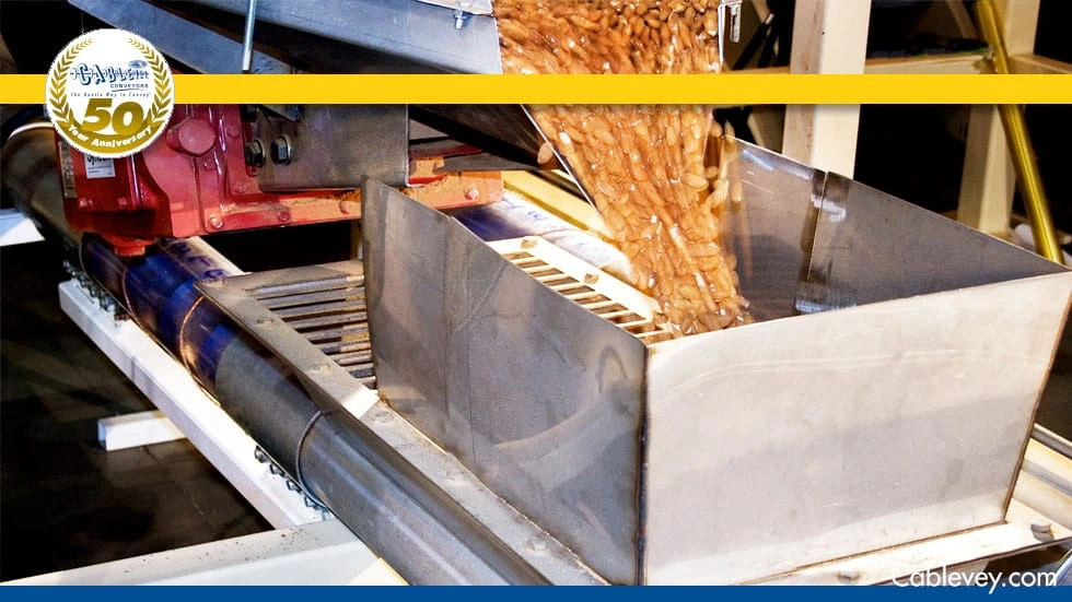 Bulk Beans Dry industry insight