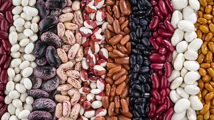 Bulk Beans & Pulse Supplier