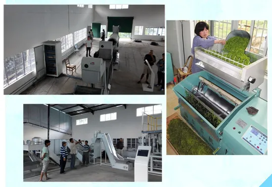 Bulk Black Tea industry insight