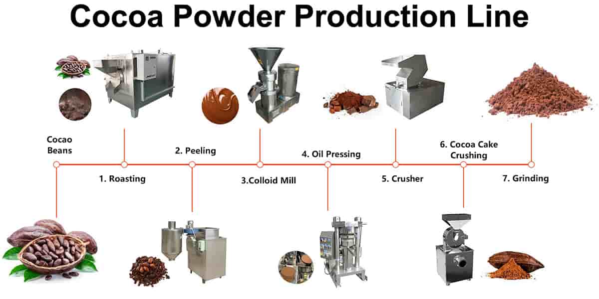 Bulk Cacao Powder industry insight