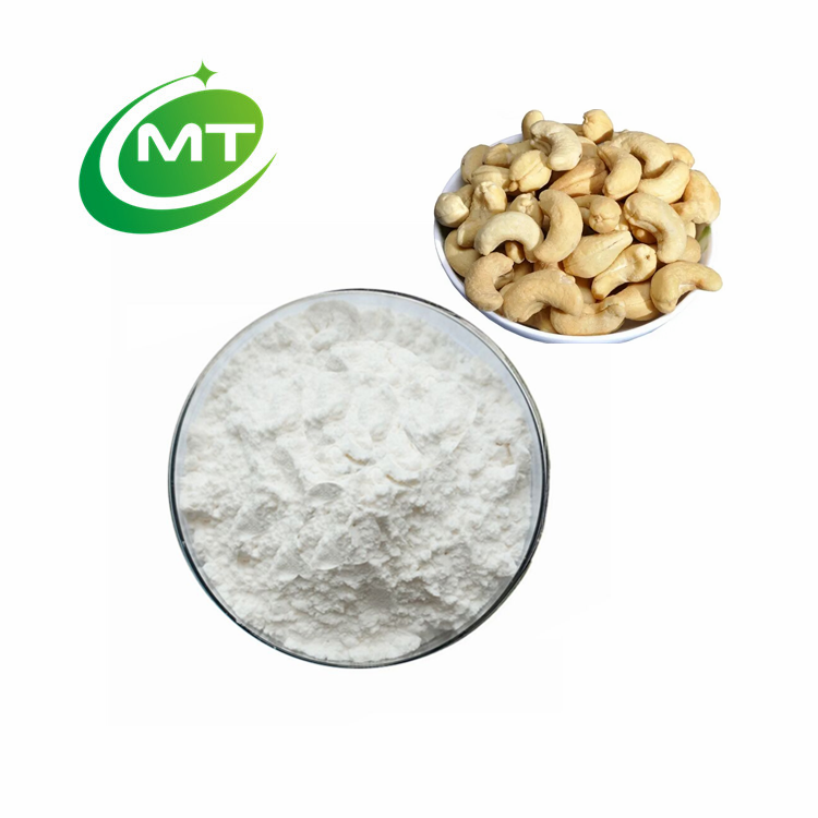 Bulk Cashew Powder Supplier