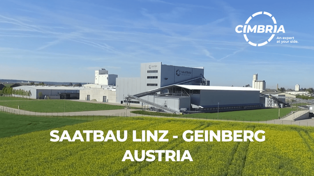 Bulk Corn Seed industry insight