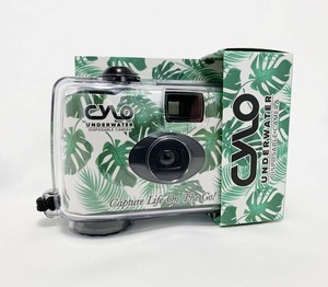Bulk Disposable Camera industry insight