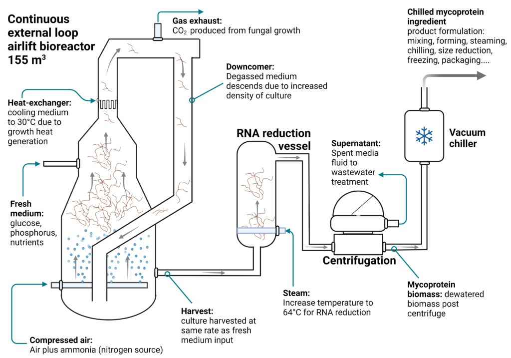 Bulk Fermentation Container industry insight