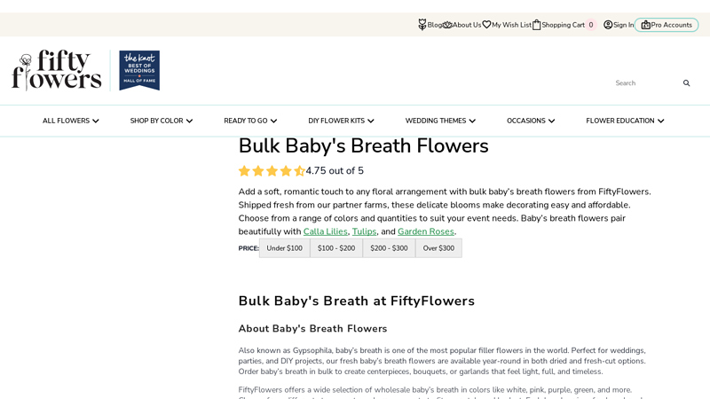 Bulk Fresh Baby's Breath Flowers