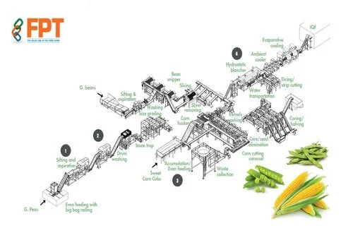 Bulk Frozen Fruit industry insight