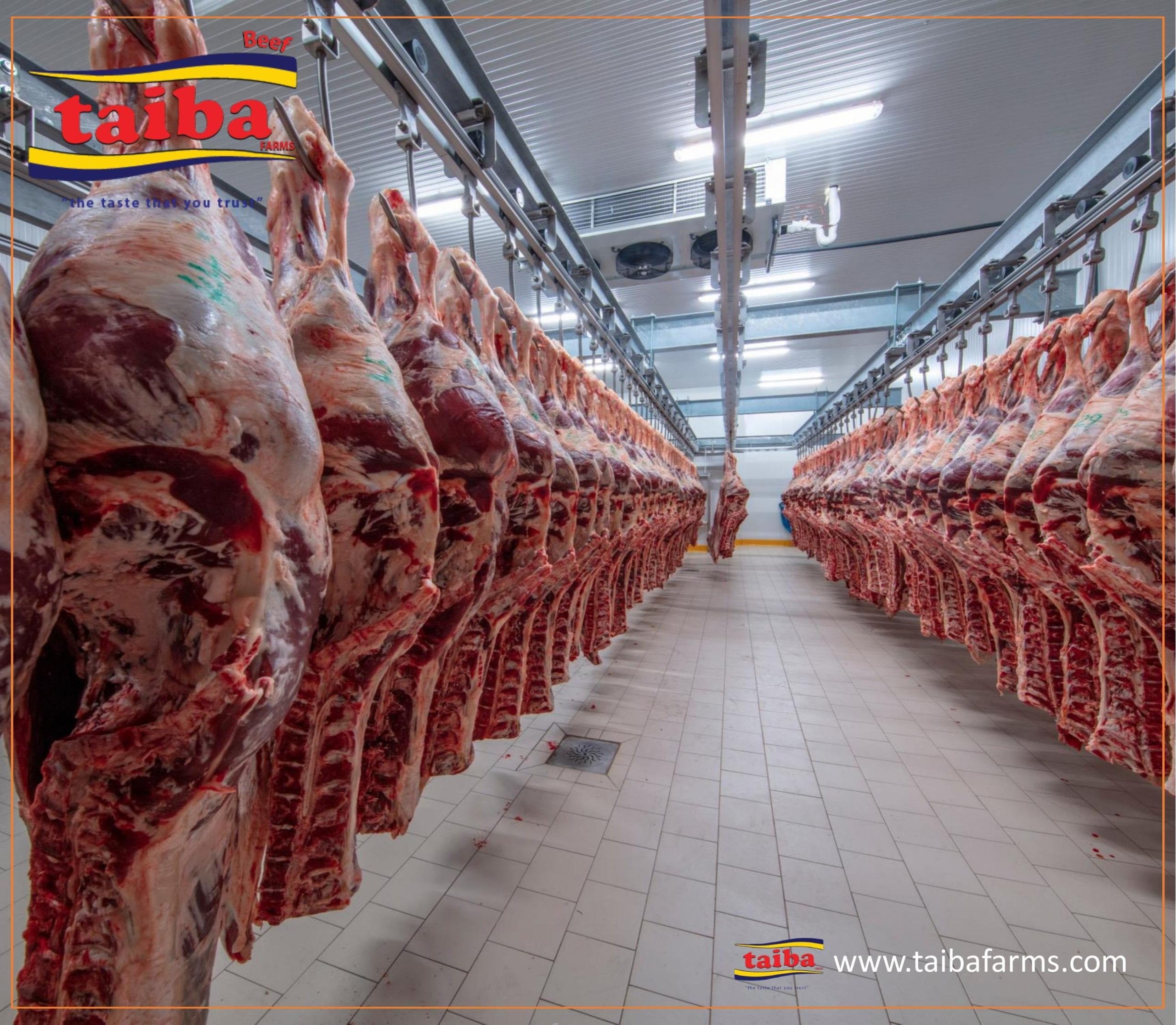 Bulk Halal Meat industry insight