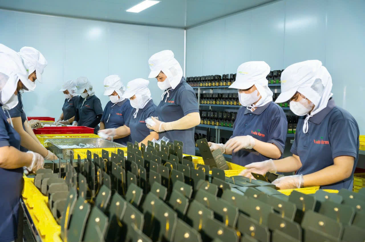 Bulk Herbal Tea industry insight