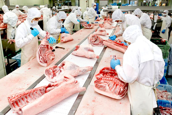 Bulk Japanese Meat industry insight