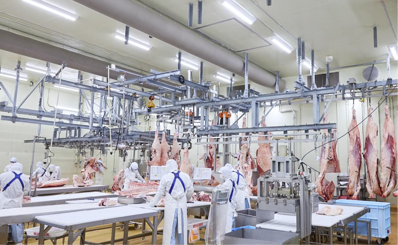 Bulk Japanese Meat industry insight