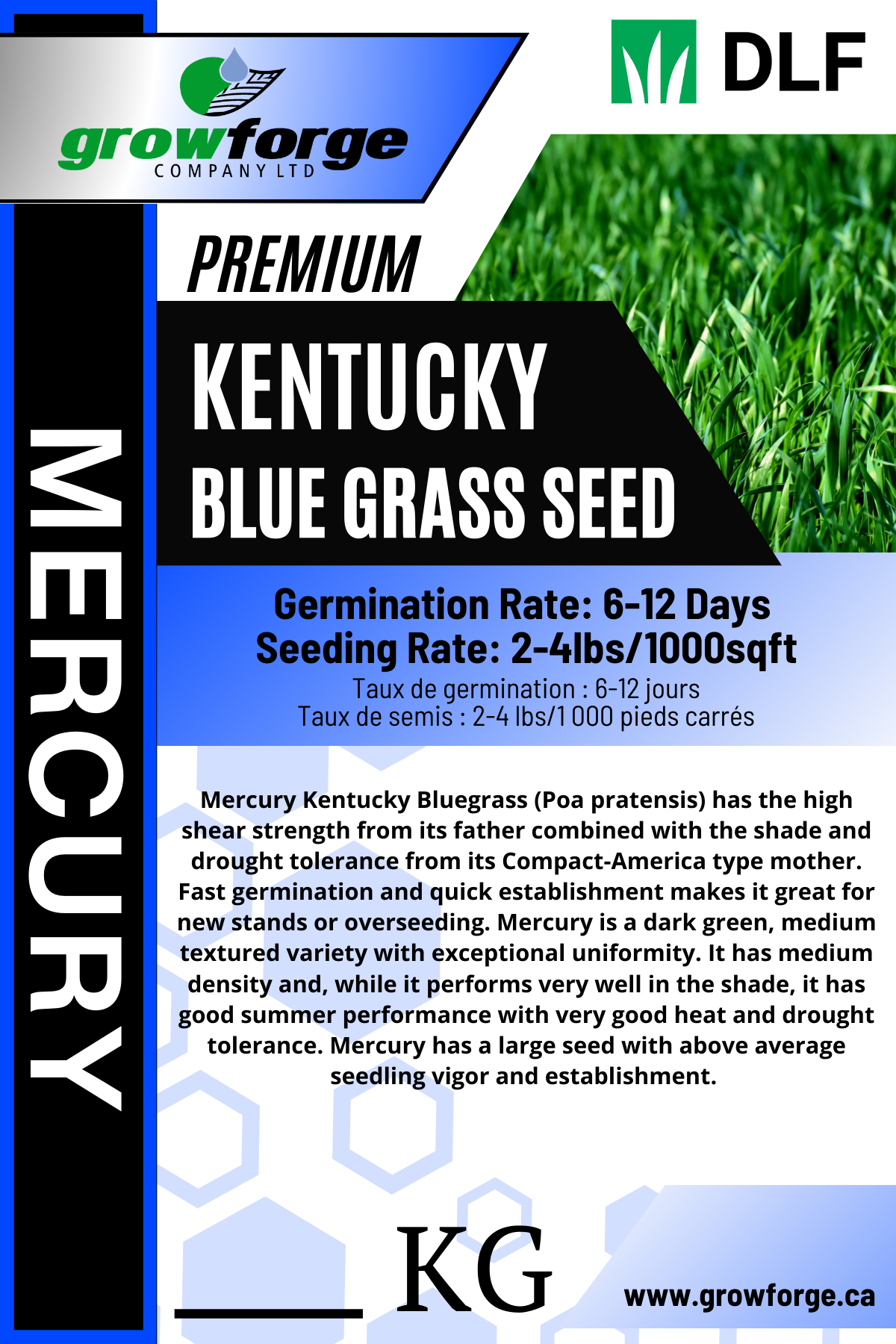 Bulk Kentucky Bluegrass Seed industry insight