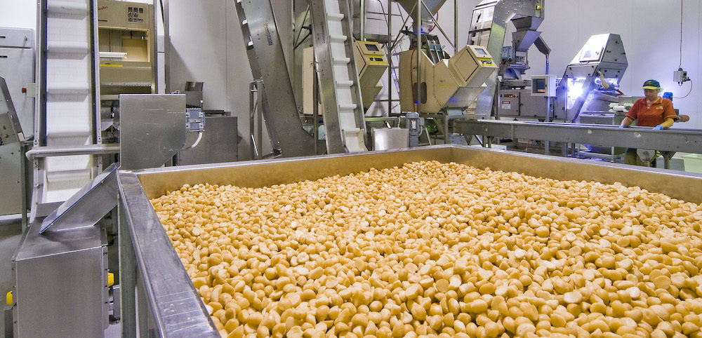 Bulk Macadamias industry insight