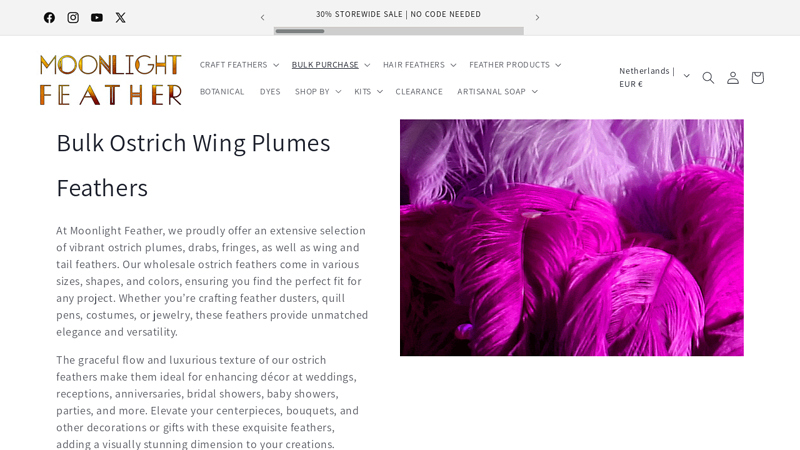 Bulk Ostrich Wing Plumes Feathers
