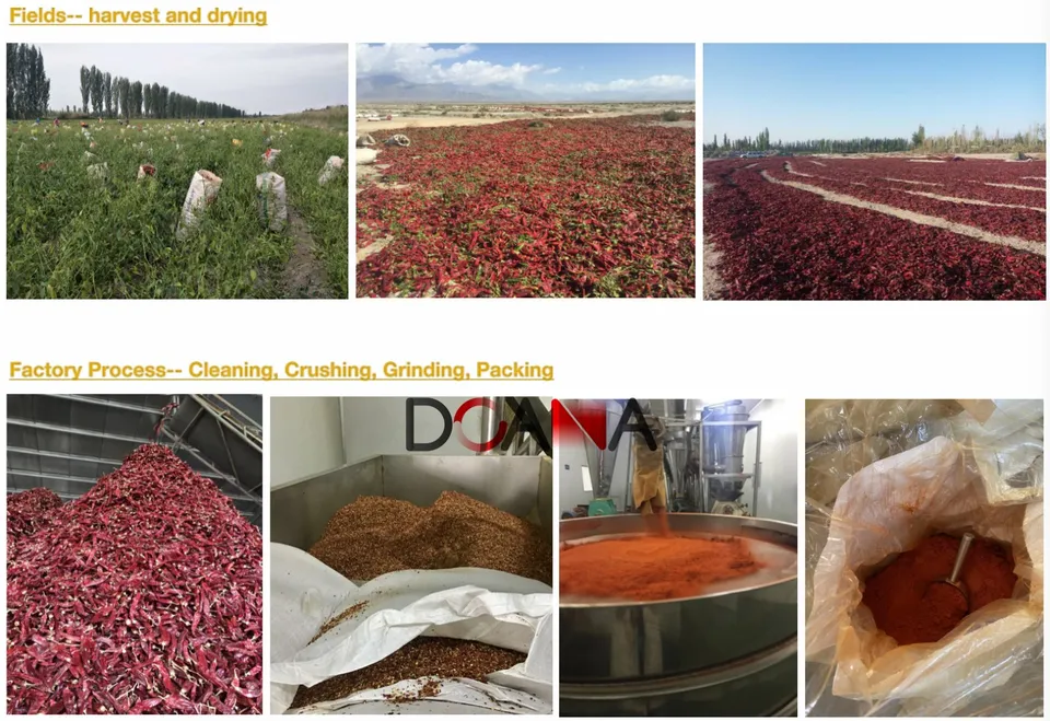 Bulk Pepper Flakes industry insight