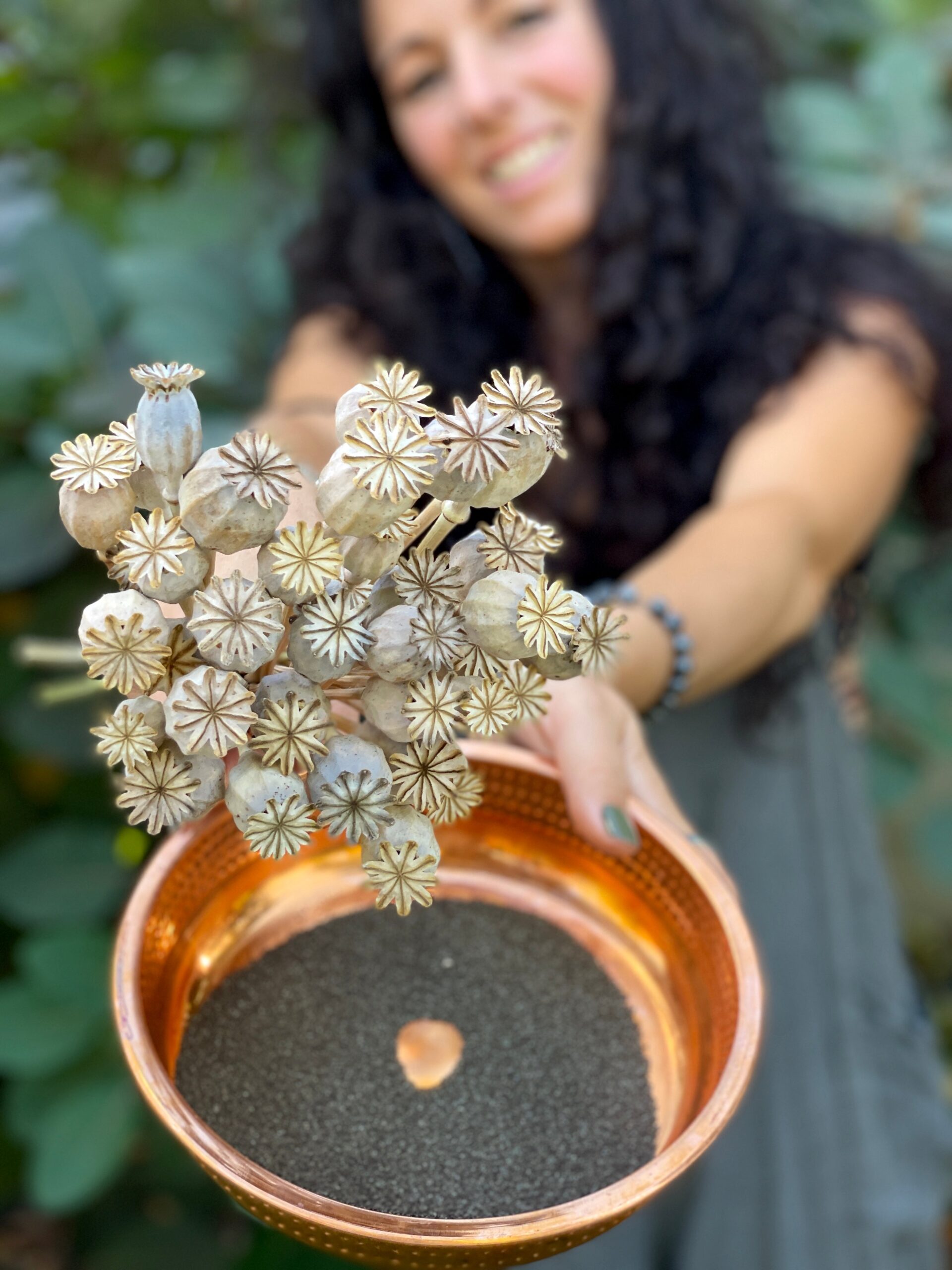 Bulk Poppy Flower Seeds industry insight