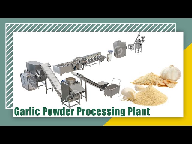 Bulk Powdered Garlic industry insight