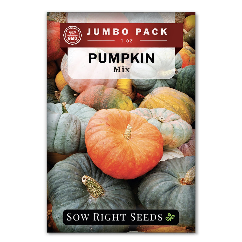 Bulk Pumpkin Seeds For Planting industry insight