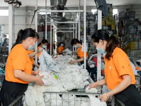 Bulk Rags industry insight