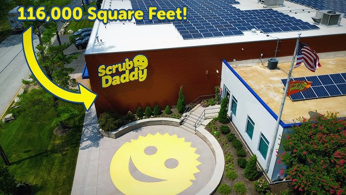 Bulk Scrub Daddy industry insight