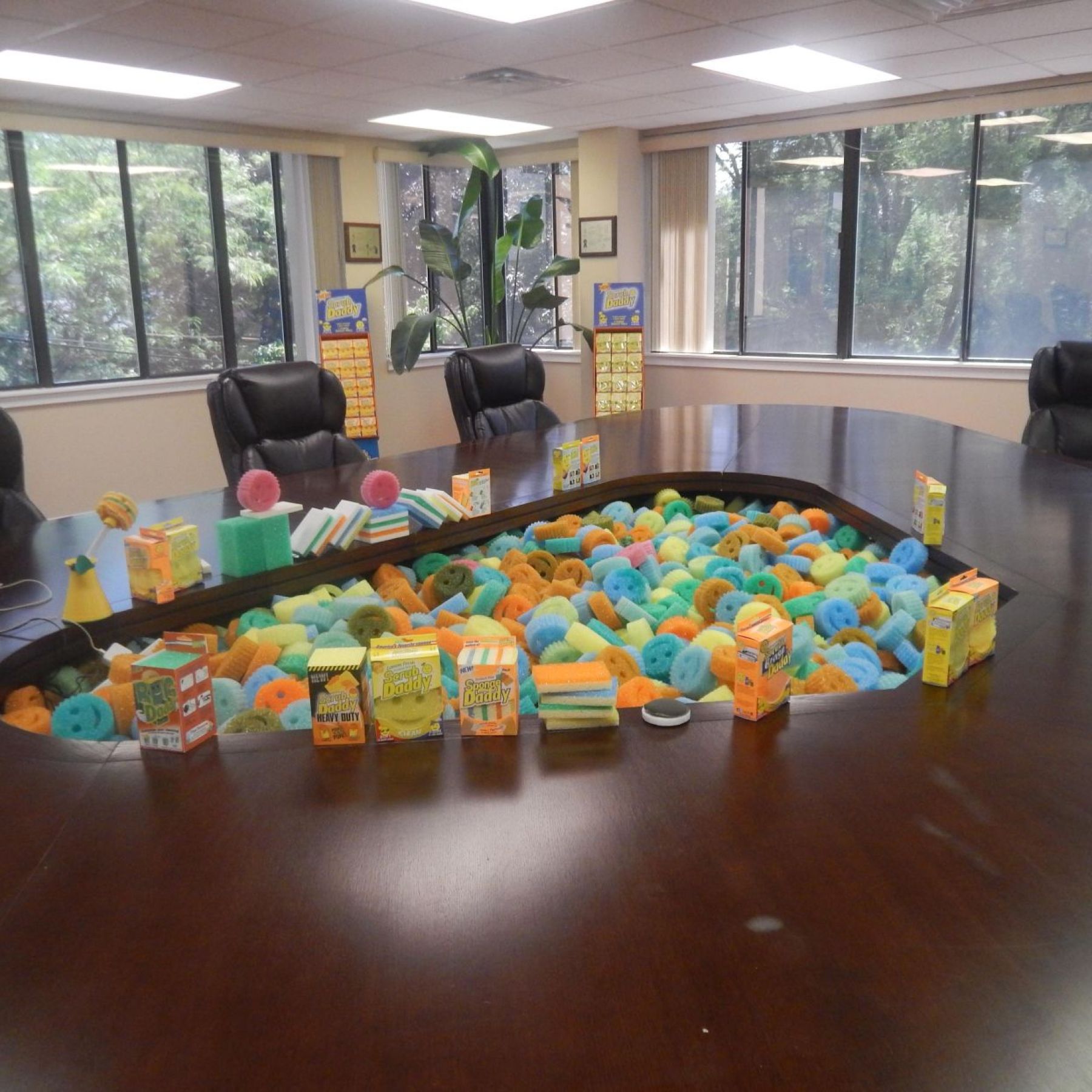 Bulk Scrub Daddy industry insight