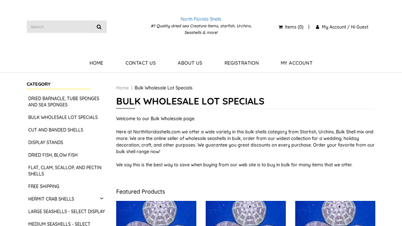 Bulk Seashell Wholesale Distributors & Suppliers