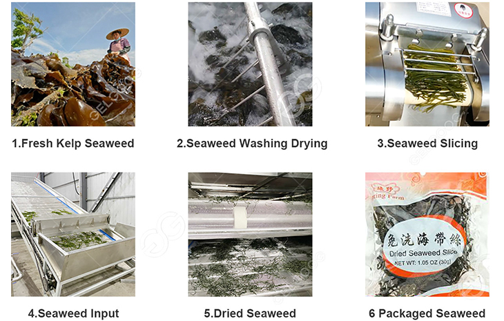 Bulk Seaweed industry insight