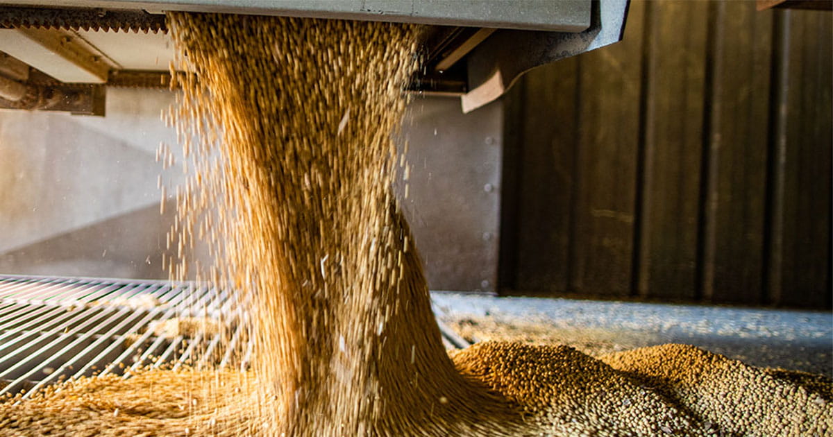 Bulk Soybeans industry insight