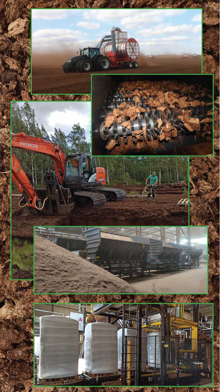 Bulk Sphagnum Peat Moss industry insight