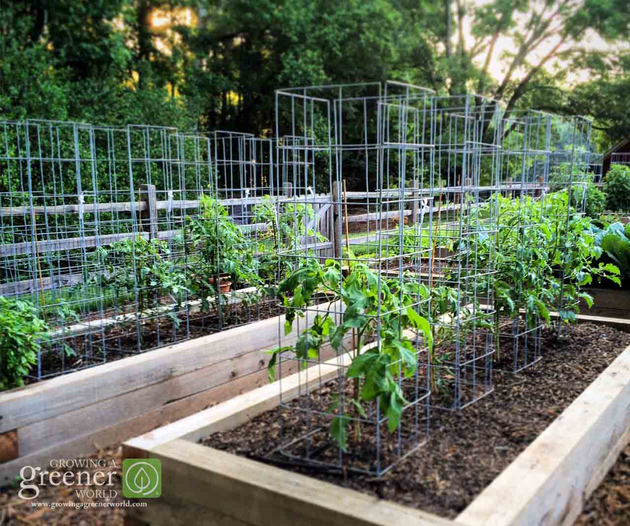 Bulk Tomato Cages industry insight