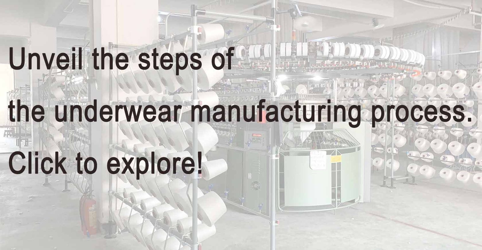 Bulk Underwear industry insight