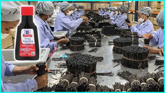 Bulk Vanilla Flavor industry insight