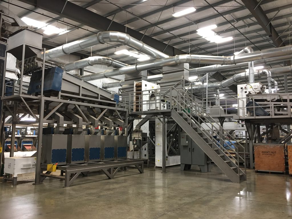 Bulk Walnuts industry insight