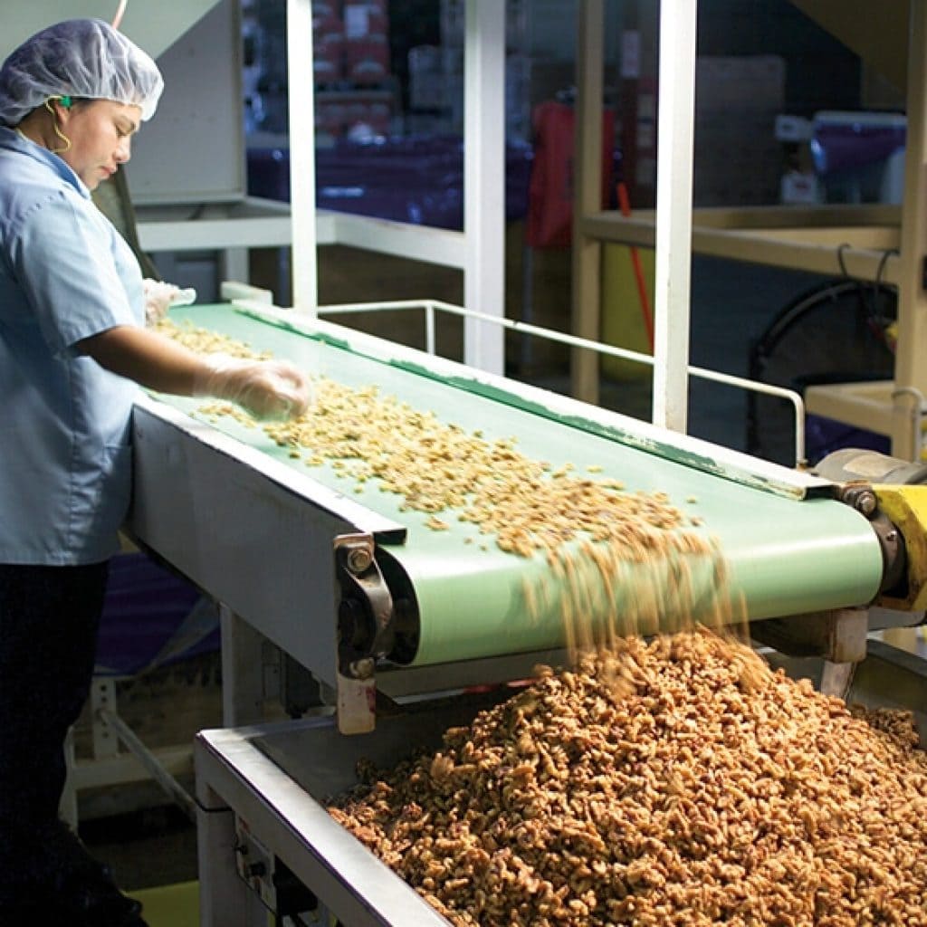 Bulk Walnuts industry insight