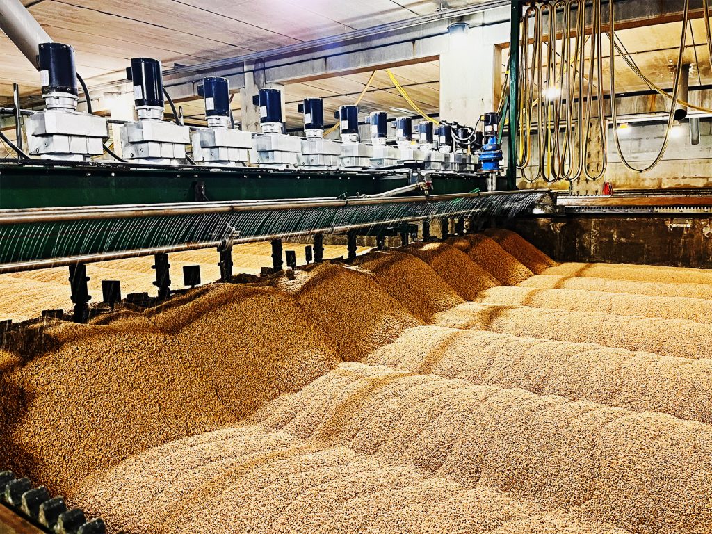 Bulk Wheat Gluten industry insight