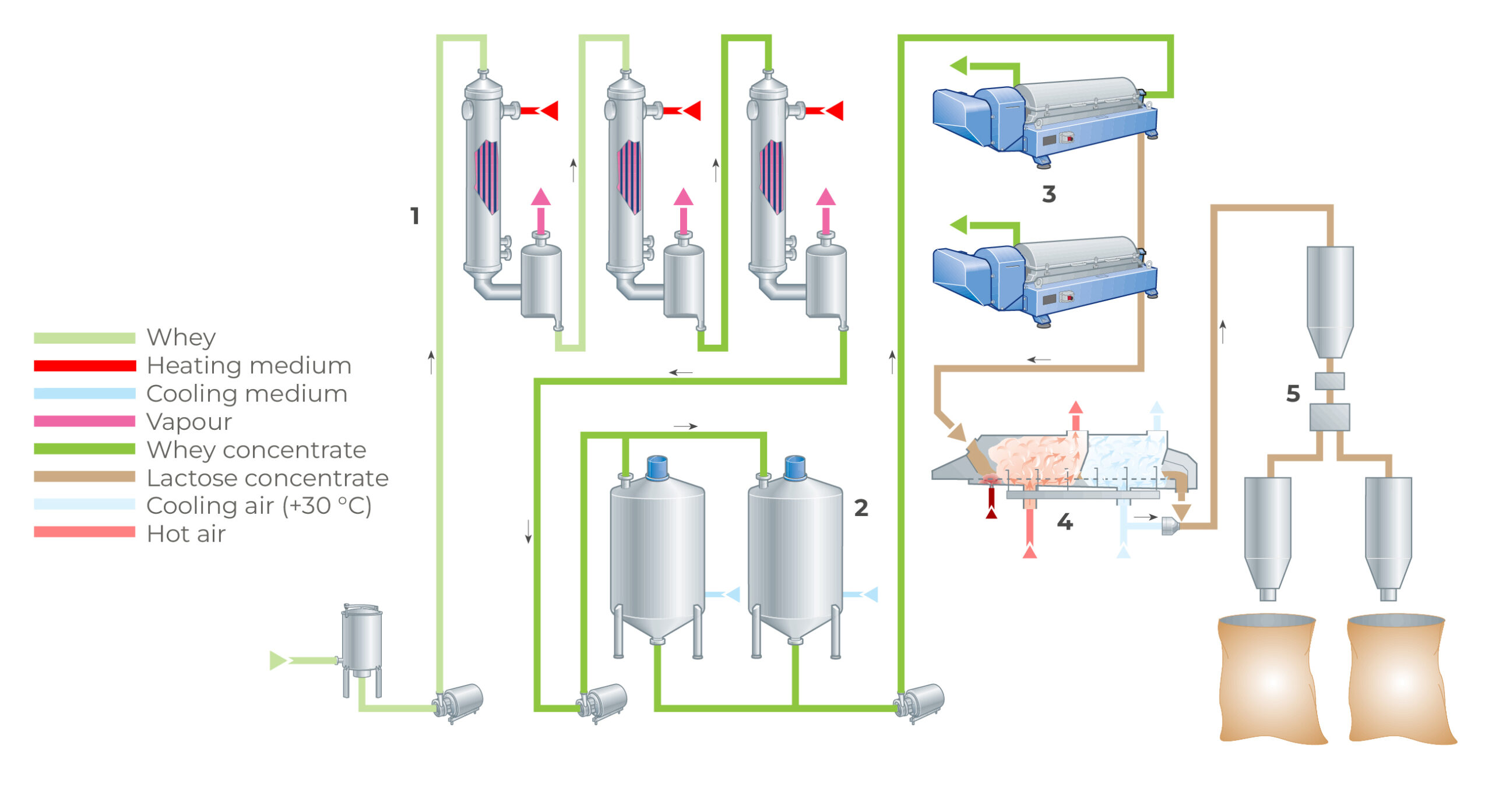 Bulk Whey Isolate Protein industry insight
