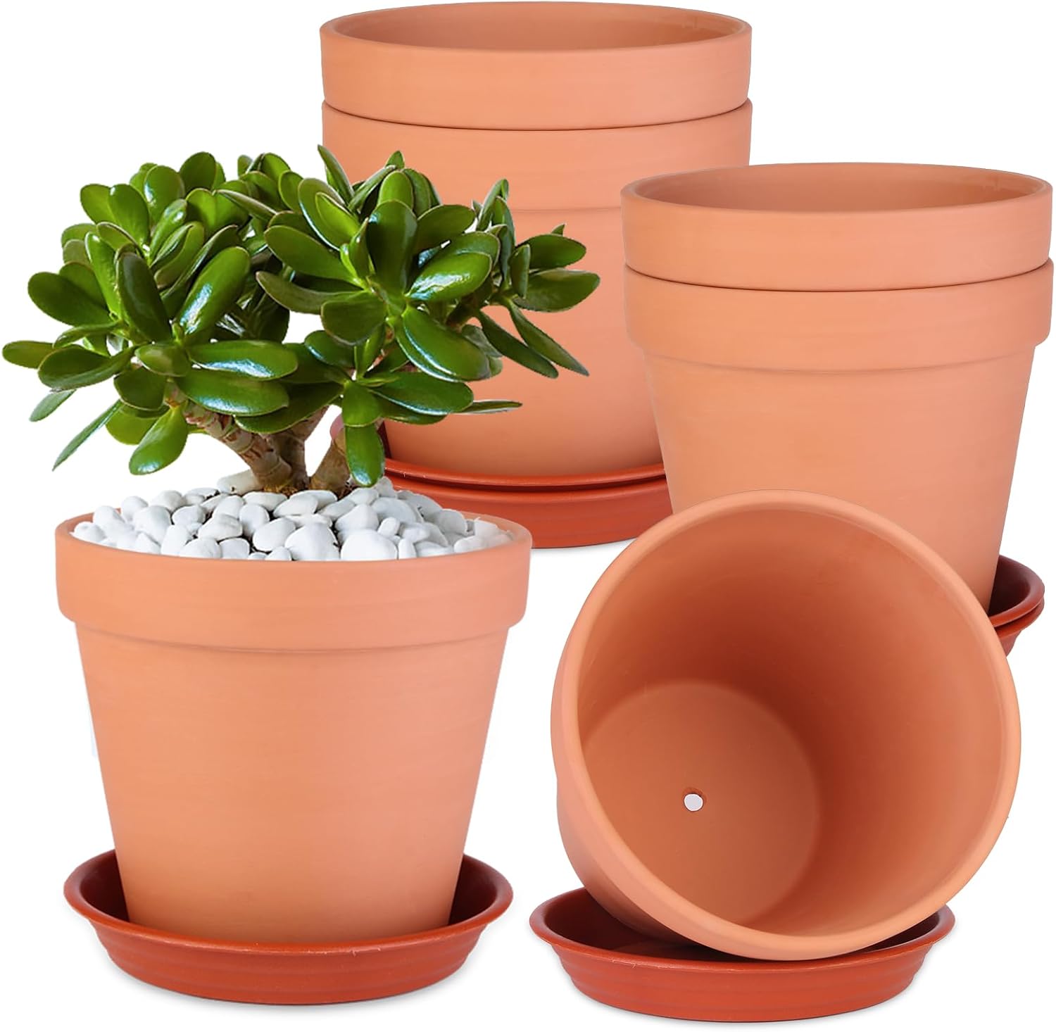 Bulk & Wholesale Clay Pot Manufacturer
