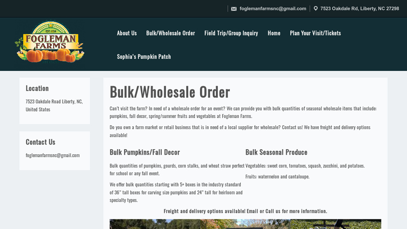 Bulk/Wholesale Pumpkins, Fall Decor, Seasonal ...