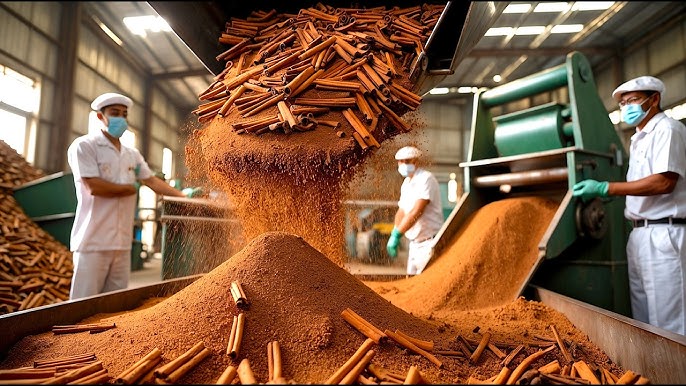 Burmannii Cinnamon industry insight