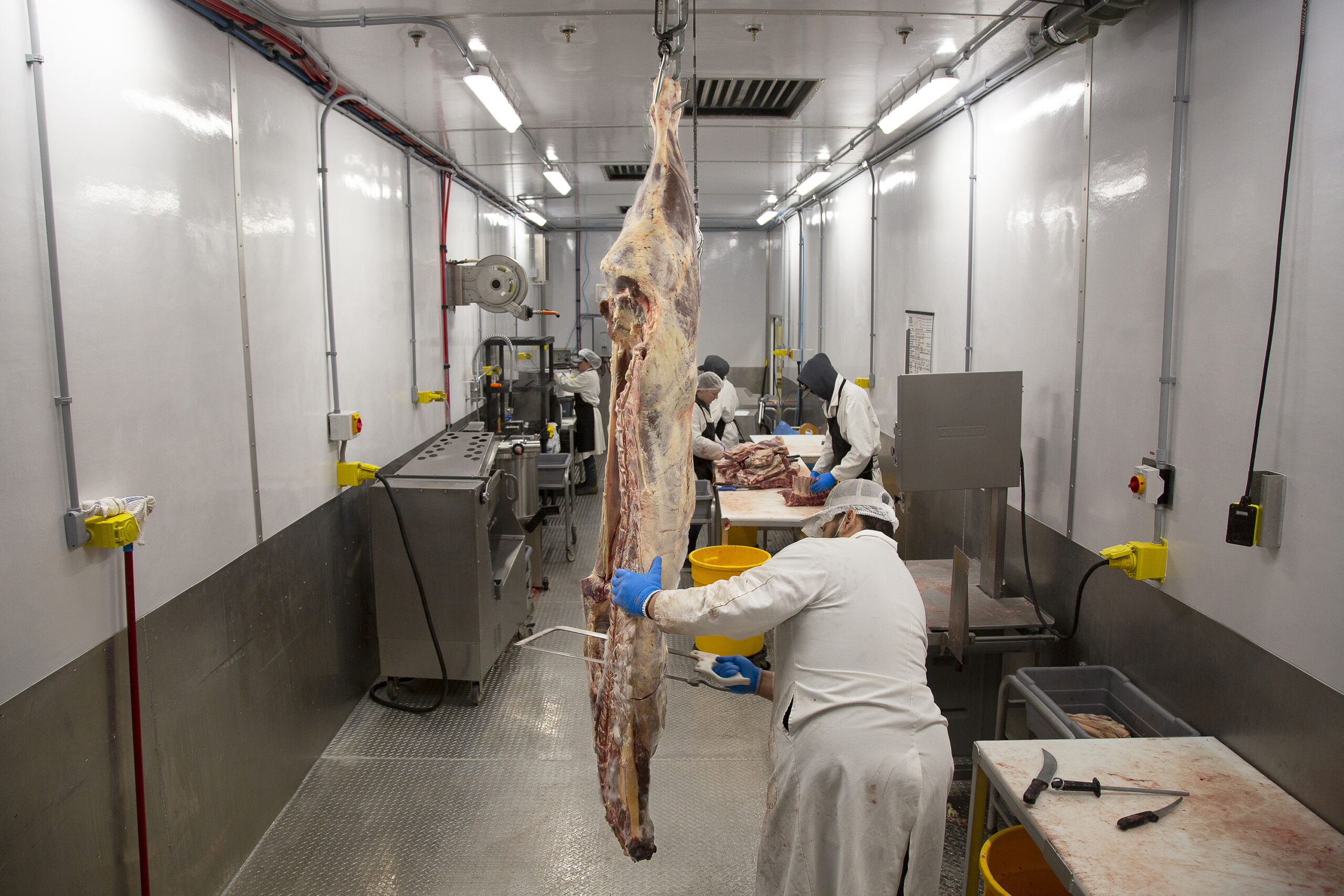Butchery Equipment industry insight