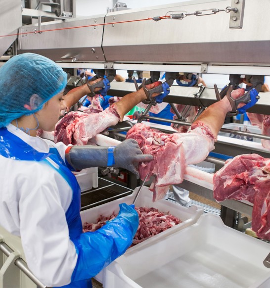 Butchery Equipment industry insight