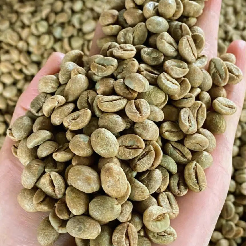Buy Wholesale Coffee Beans Direct