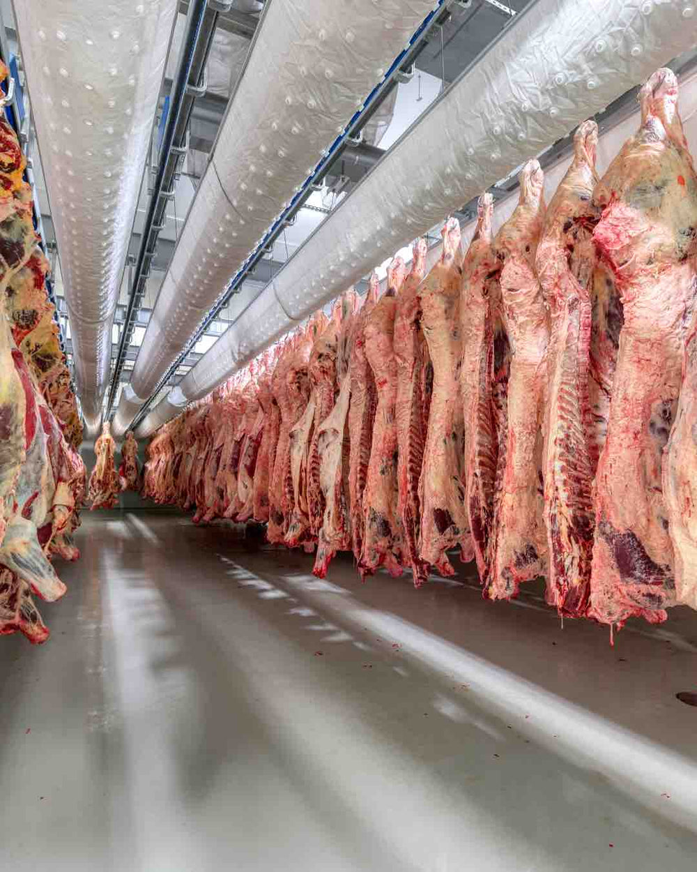 Buying Meat In Bulk Online industry insight