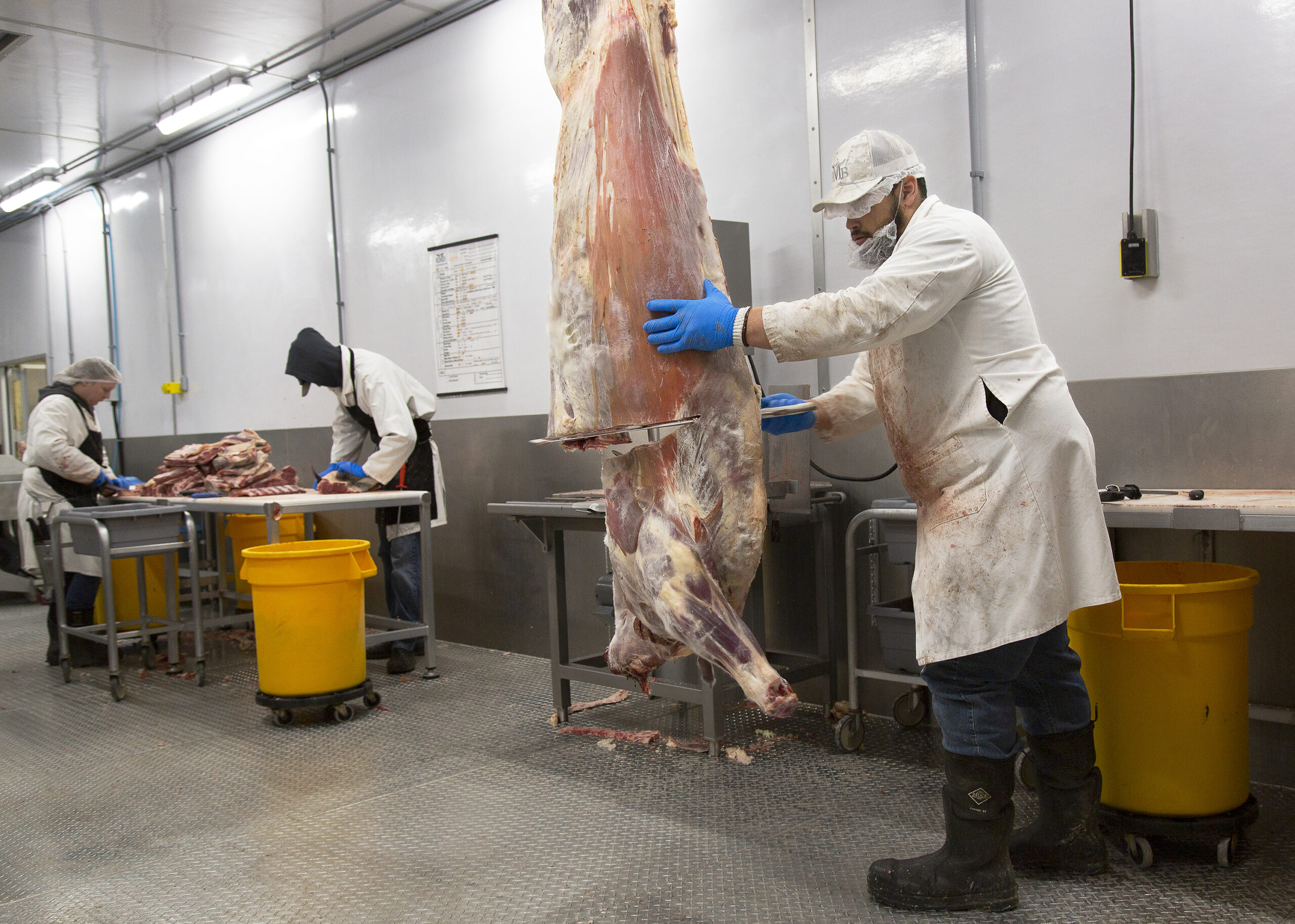 Buying Meat In Bulk Online industry insight